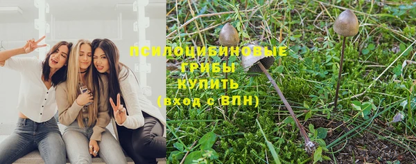 гашик Алексеевка