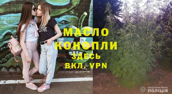 гашик Алексеевка