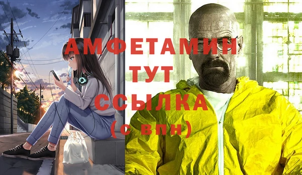 гашик Алексеевка