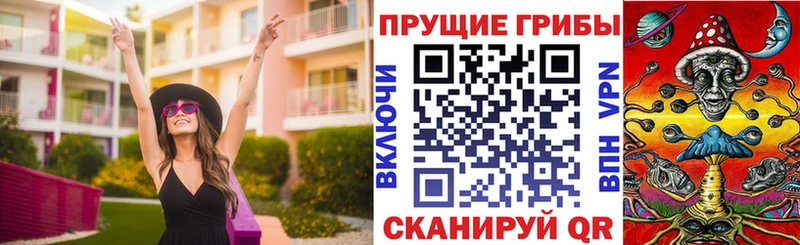 где найти   Полярные Зори  Галлюциногенные грибы MAGIC MUSHROOMS 